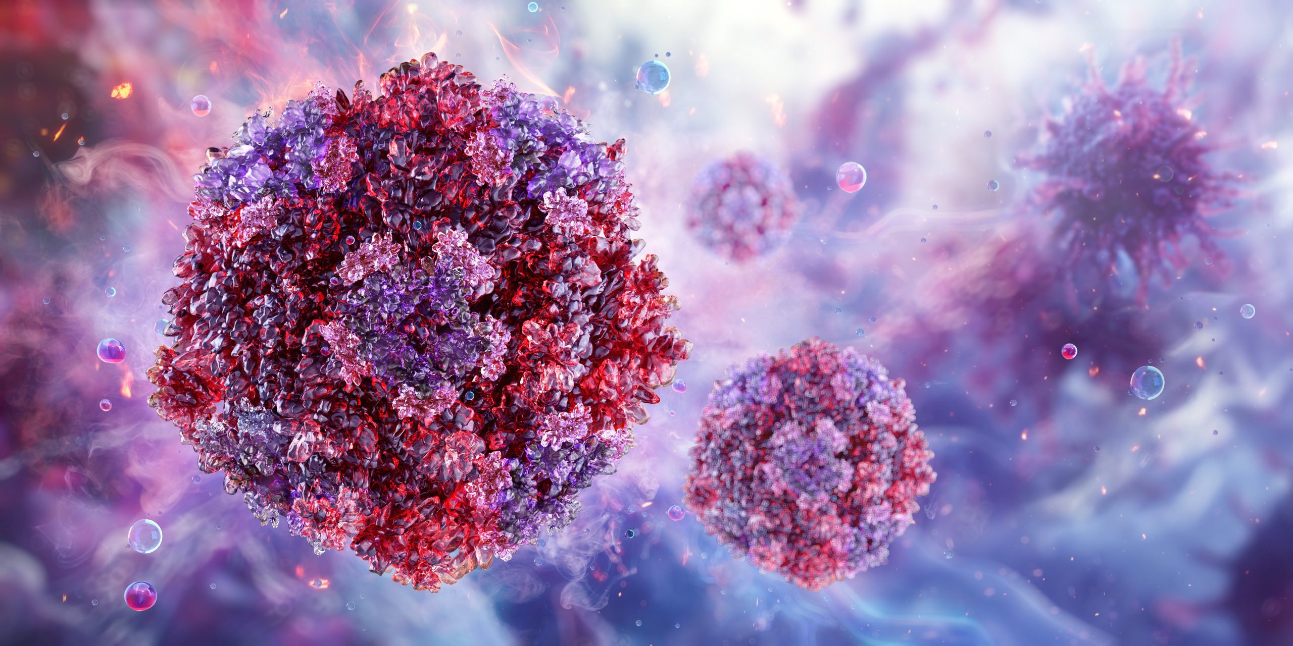 Infections Study Afternoon